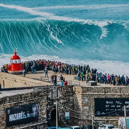 Vitamin Sea Апартаменты *